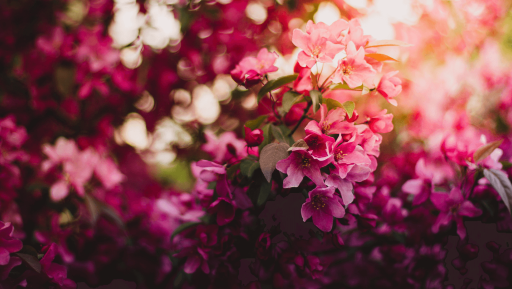 A_Beautiful_Mess_Photo A_Beautiful_Mess_Photo
