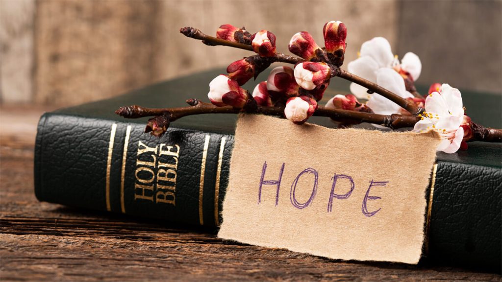When-Hope-Feels-Lost Photo of Bible with a note saying "Hope" and a flower for the blog post "When Hope Feels Lost"